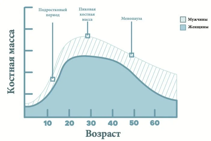 Формирование сильных костей у детей и подростков — изображение 3